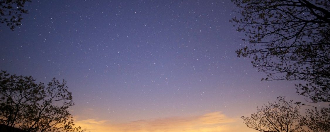 Come see the meteor shower in Playa de Palma