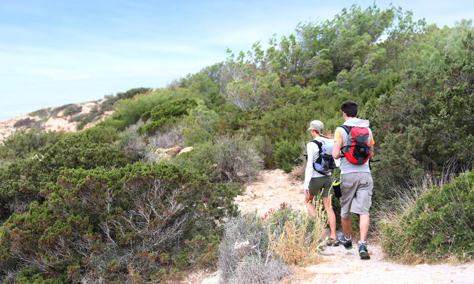 hike 5 things to do in spring in mallorca pabisa hotels playa de palma