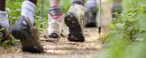 cycling hiking mallorca arenal pabisa hotels playa de palma