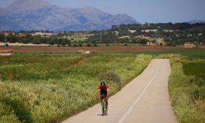 Pabisa Hotels S’Arenal Mallorca sport events