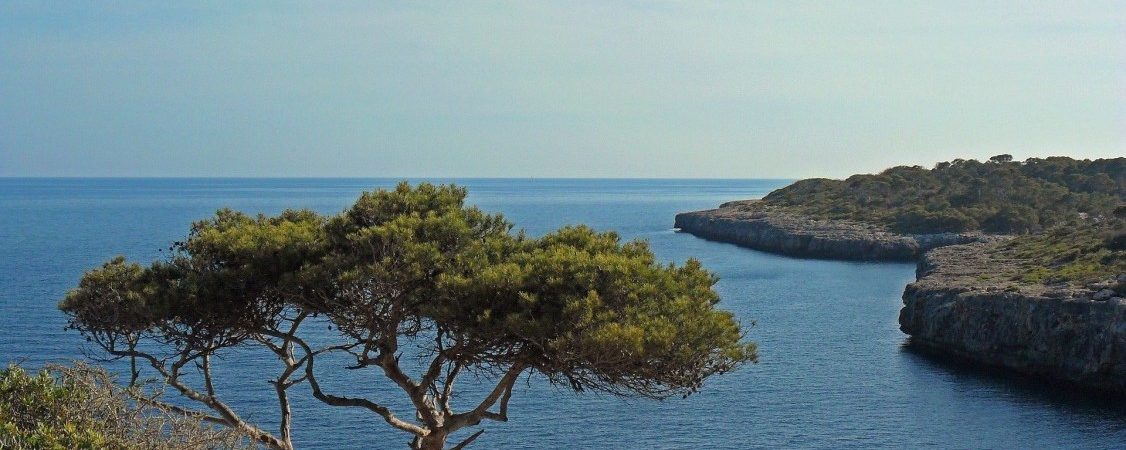 ¿Qué es la ecotasa y cómo afecta a tus vacaciones en Mallorca?