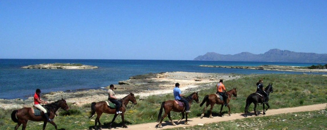 Paseos a caballo en Mallorca: deporte y naturaleza a la vez