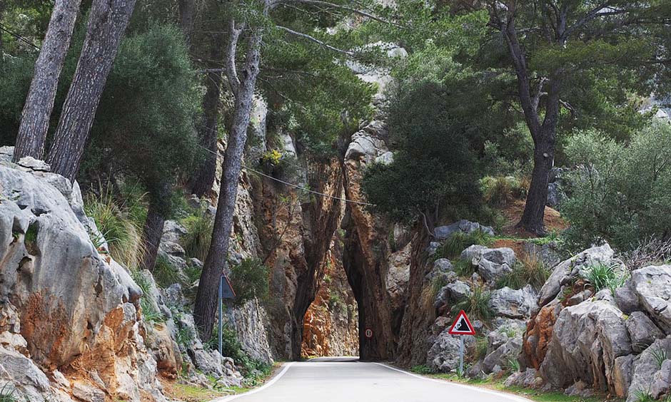 bicicleta montaña 5 cosas que hacer en primavera en mallorca pabisa hotels playa de palma