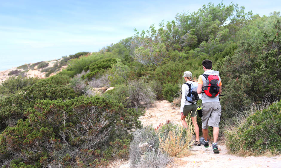 excursion 5 cosas que hacer en primavera en mallorca pabisa hotels playa de palma