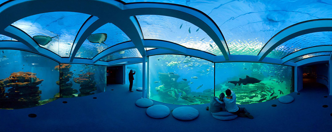 El mejor acuario de Mallorca: Palma Aquarium