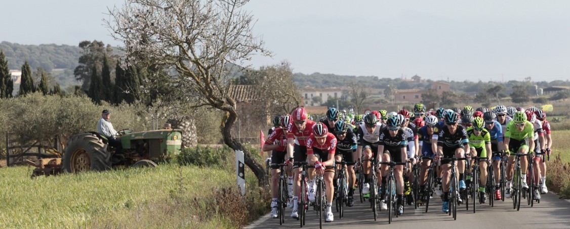 Die RadsportElite trifft sich zur Mallorca Challenge 2016 Seien Sie