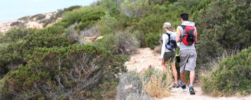 DE F Herbst Mallorca Aktivitaten Radfahren