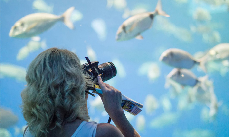 DE PABISA HOTELS PALMA AQUARIUM MALLORCAS GROSTE AQUARIUM