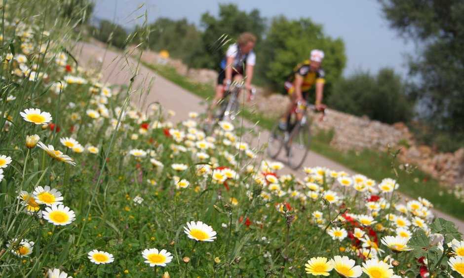 DE Pabisa Hotels Mallorca Winteraktivitäten