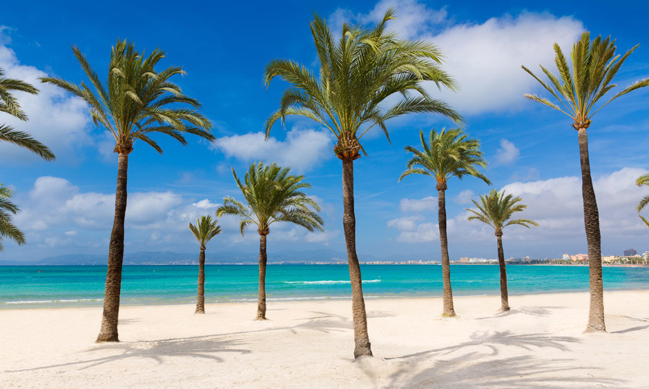arenal pabisa hotels playa de palma beast beaches and coves urlaub strand